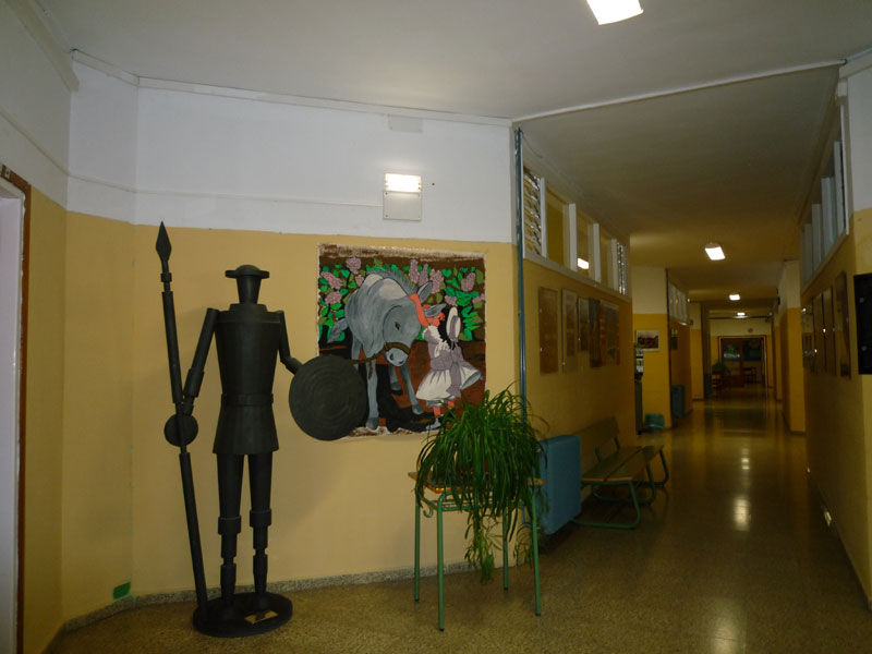 hall instituto